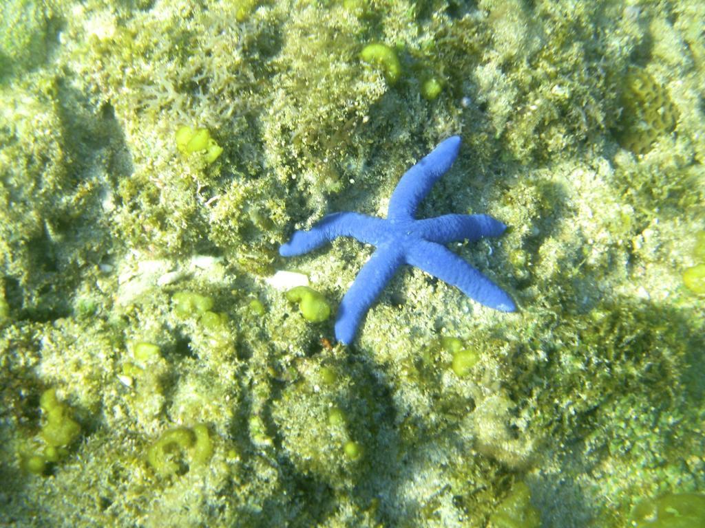 Blue Seastar Cottages Agpudlos Εξωτερικό φωτογραφία